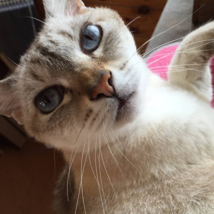 57f84bf8 fee0 432e 81d2 90807dc410e1