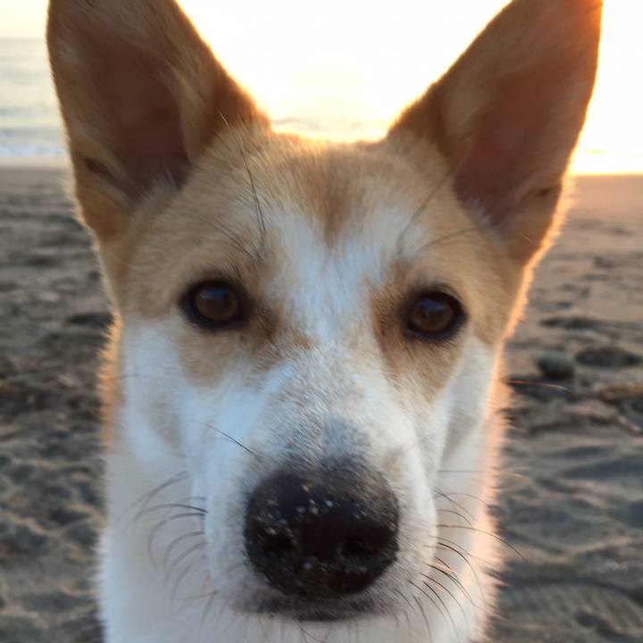 57f89578 5f95 4999 93cc 101acf415325