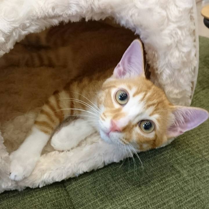 57f8c7d6 26ac 4d26 a01e b331f6e198a2