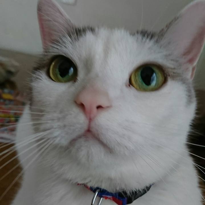 57f8ce9e c1c8 480a a632 45c6c793594e