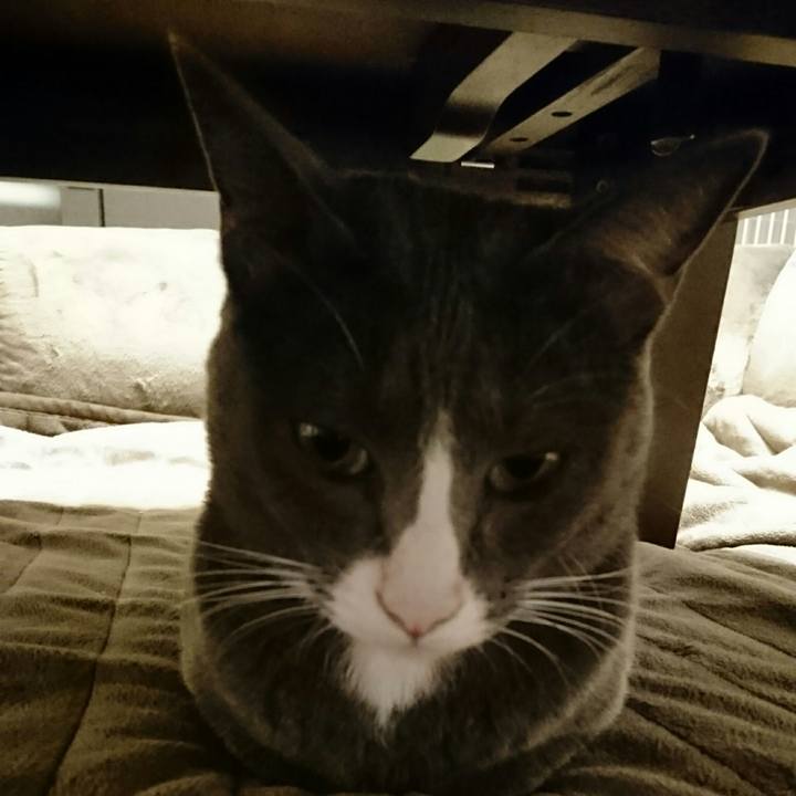 57f8d715 6123 48e5 acd8 397d5a73f35e