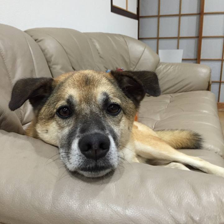 57f8dc33 e0a5 4463 a1f5 a96239965443