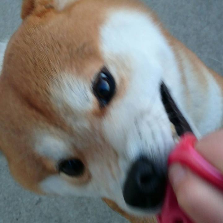 57f91dcb 7d98 495e 8df0 fa6e548dcc37