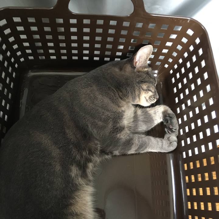 57f95bf1 b112 4ffe 8ba8 64e291dde31a