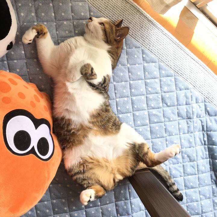 57f98af7 4379 4436 a31d bddd0486c9b3