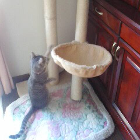 57fa05cf 04b0 44d7 b73b 9ec2fa43c226