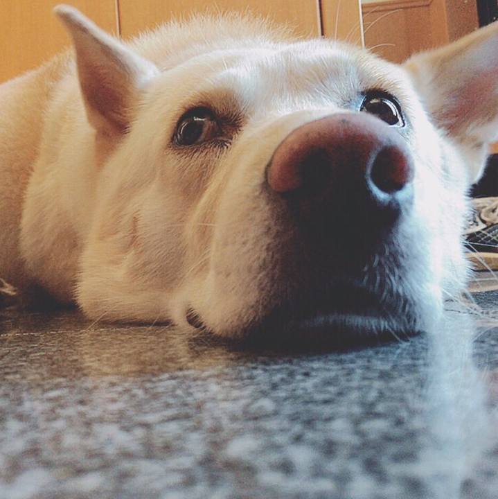 57fa5bdd d8ec 40e5 8404 c4042443f71b