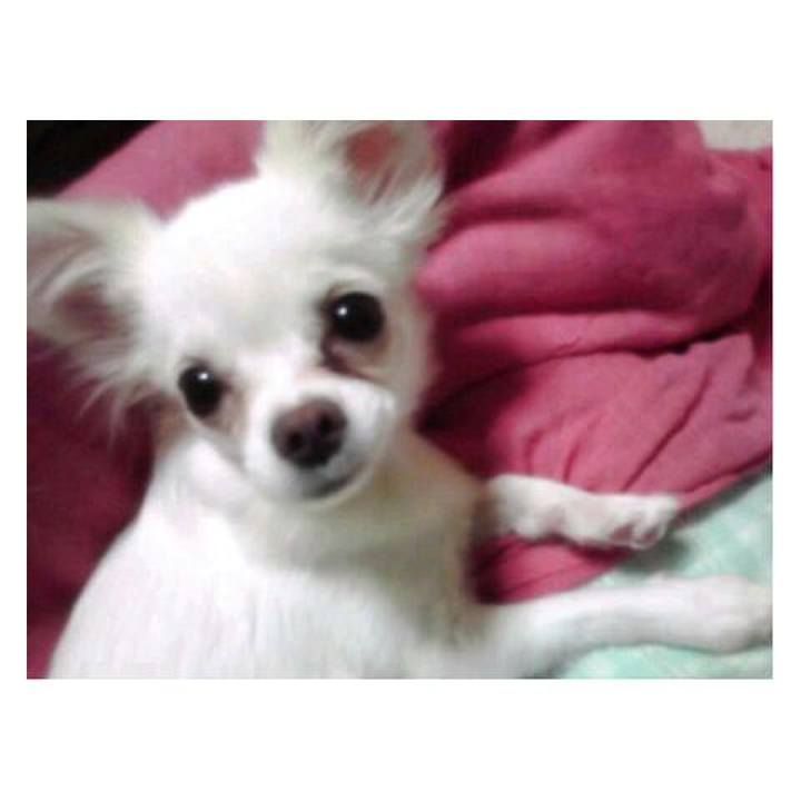 57fad953 c36e 4cd7 a546 a07d7270b61c