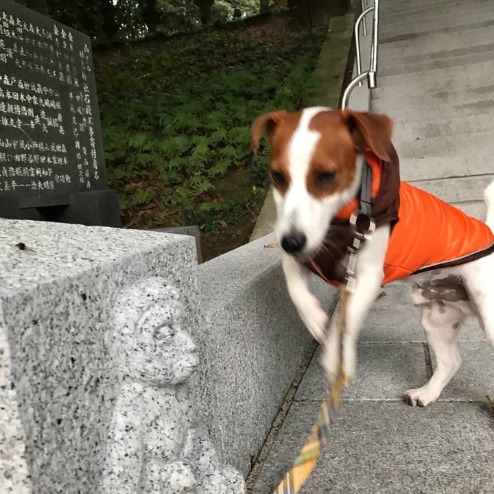 57fb0c41 c432 434f ad80 251d498cb51f