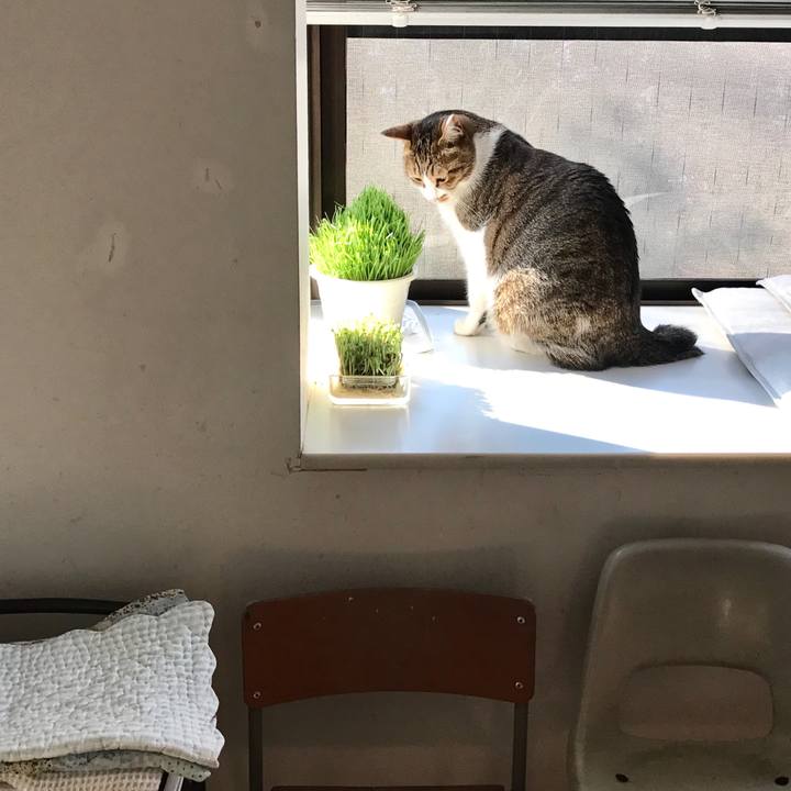 57fb7881 1d9b 4970 9173 4d1eee74c920