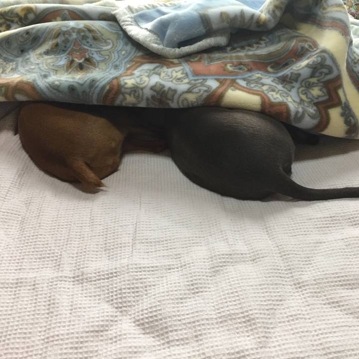 57fba584 b5e6 41a3 91e5 99115d6420df