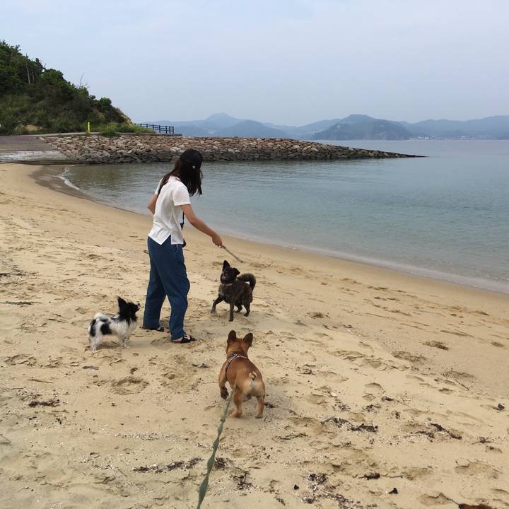 57fbef4f 4c84 4de5 b2cf bf17b2e3241e