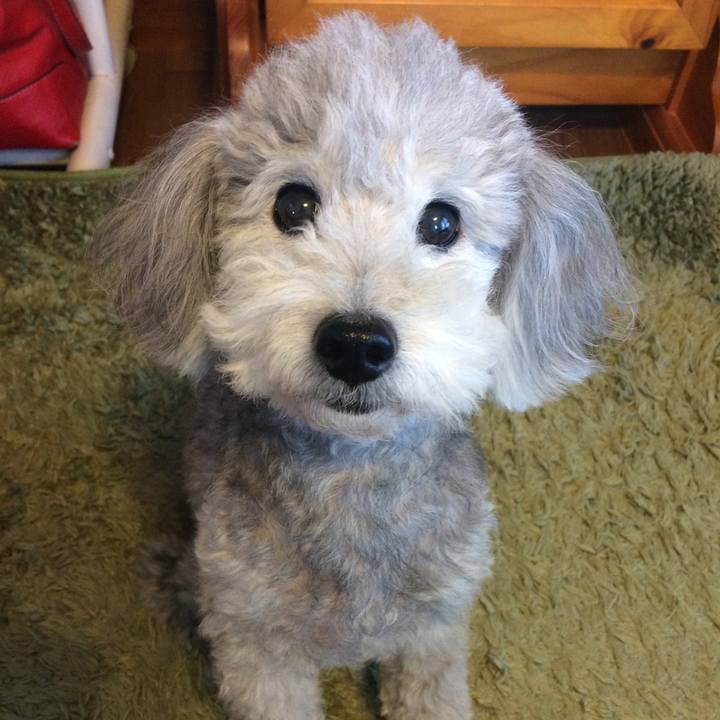 57fc5f80 7f52 47ed 83b5 a90ce0a37eb7