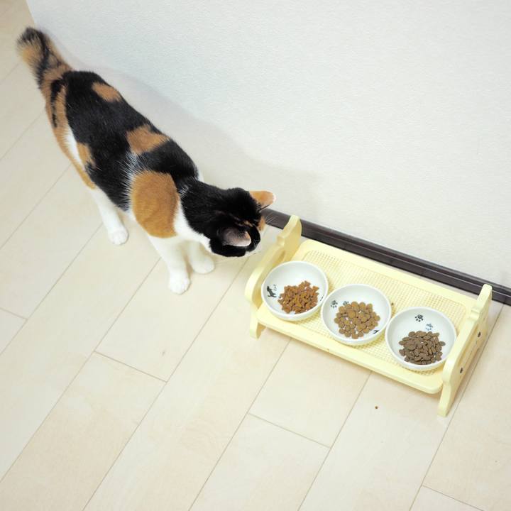 57fc9171 aa67 49a1 b77a ecddf81f5400