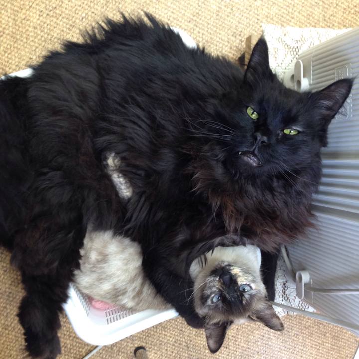 57fd6ca5 0e50 4ee6 8df7 46625211fe9a