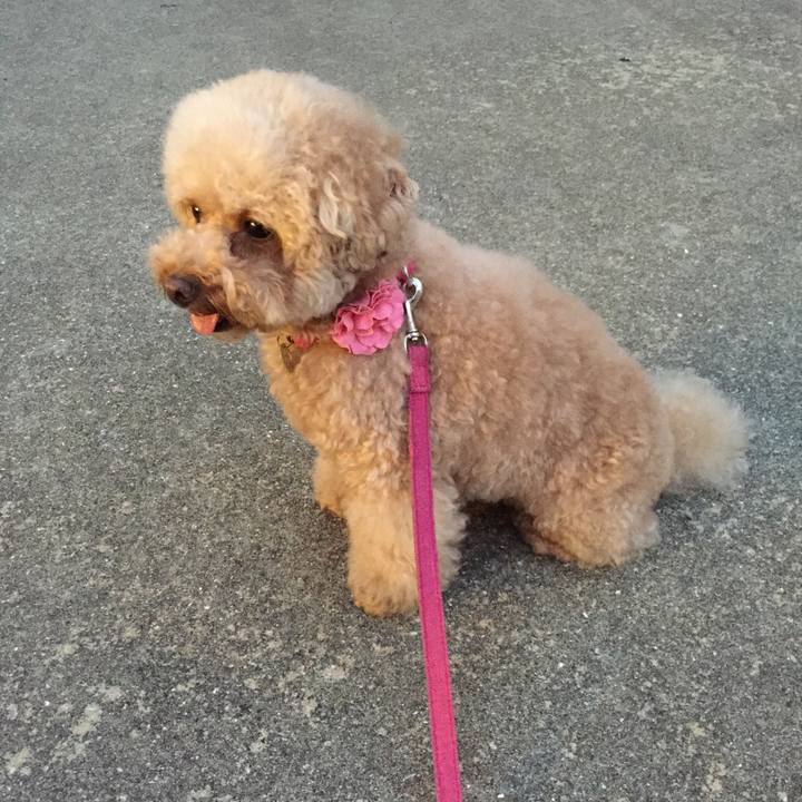 57fe368a 3412 4039 808f b58f2e3648b8