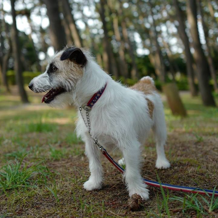 57fe68bf d0f2 417c 84f5 04b82e2bcfba