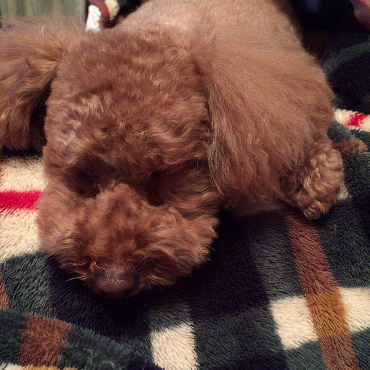 57fe910f df6d 42a7 85aa 6d2075de2c71