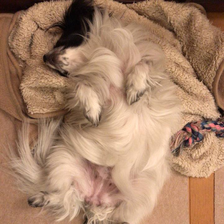 57fe9ba8 1c28 4493 99d7 687b7fe86e5b