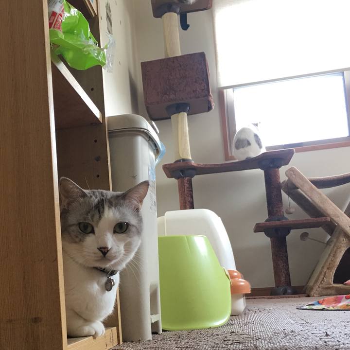 57feb142 f5cf 4429 9226 a525dd0f2e10