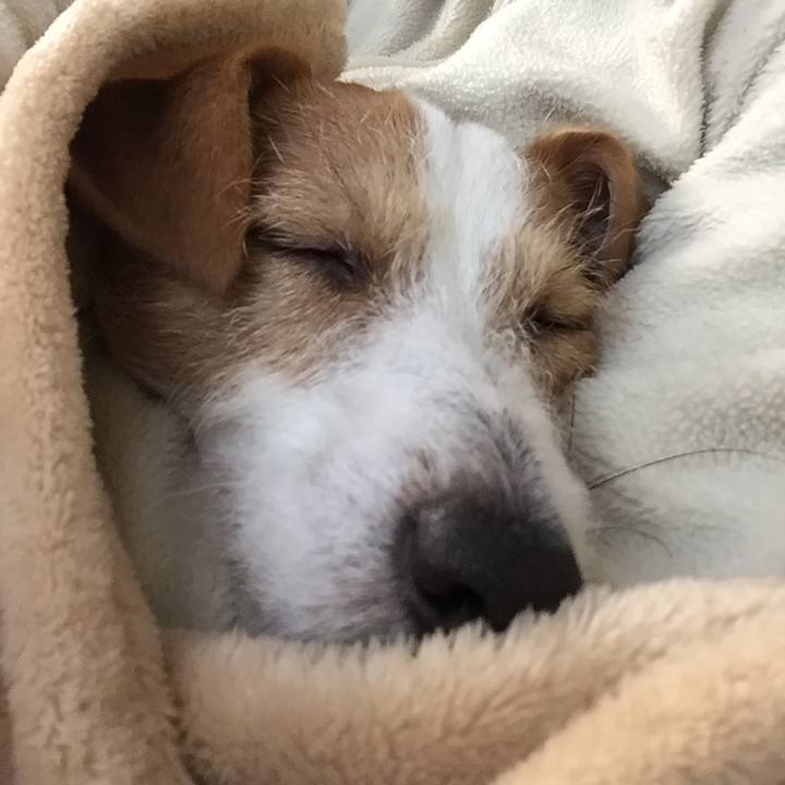 57fed5ac 5cf1 4dfc 810b 937fc5a2e69c