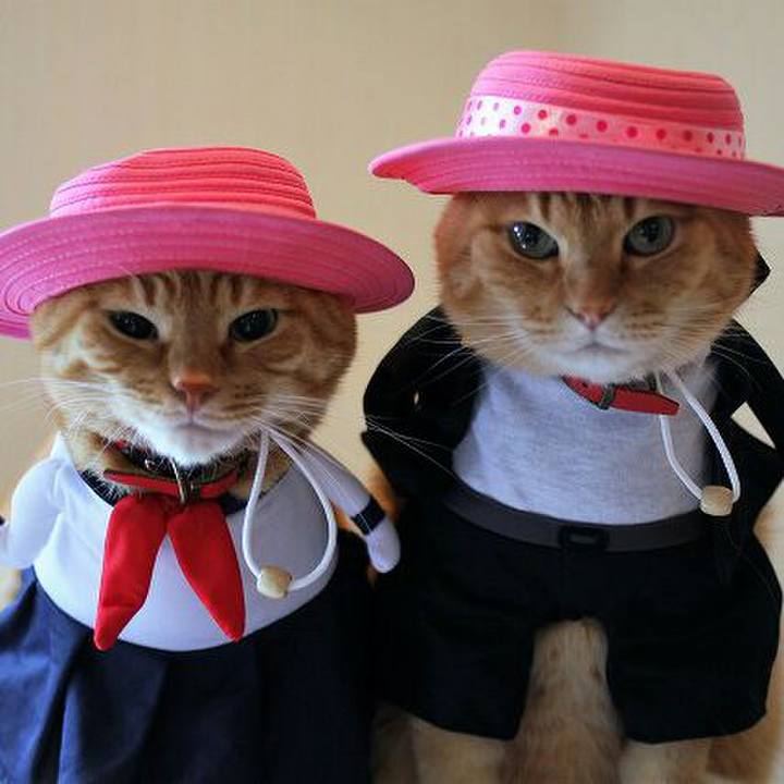 57fee00d 105c 4b54 8b3e dff6dae4cfeb