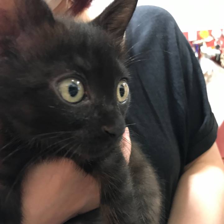 57ff49d3 1866 471b b835 c53d4a904d44