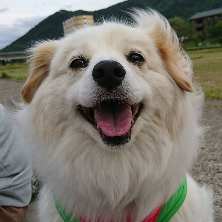 57ff4f35 e45d 4d52 9d4c a041ce5fa9d6