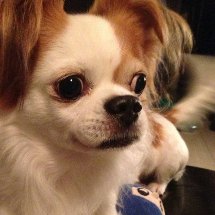 57ff6174 5a48 4dfd a364 bb58114b5b73