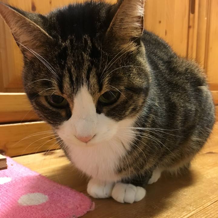 57ff7845 a86f 4bc5 a37c 647e6e89c32d