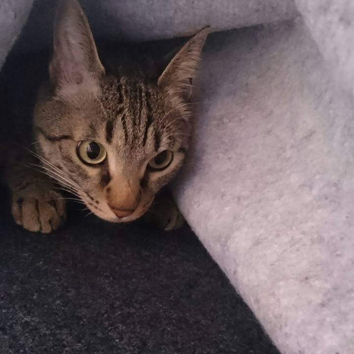 57ff8d8f 931c 431e 8d8b f5e00c19e7b2