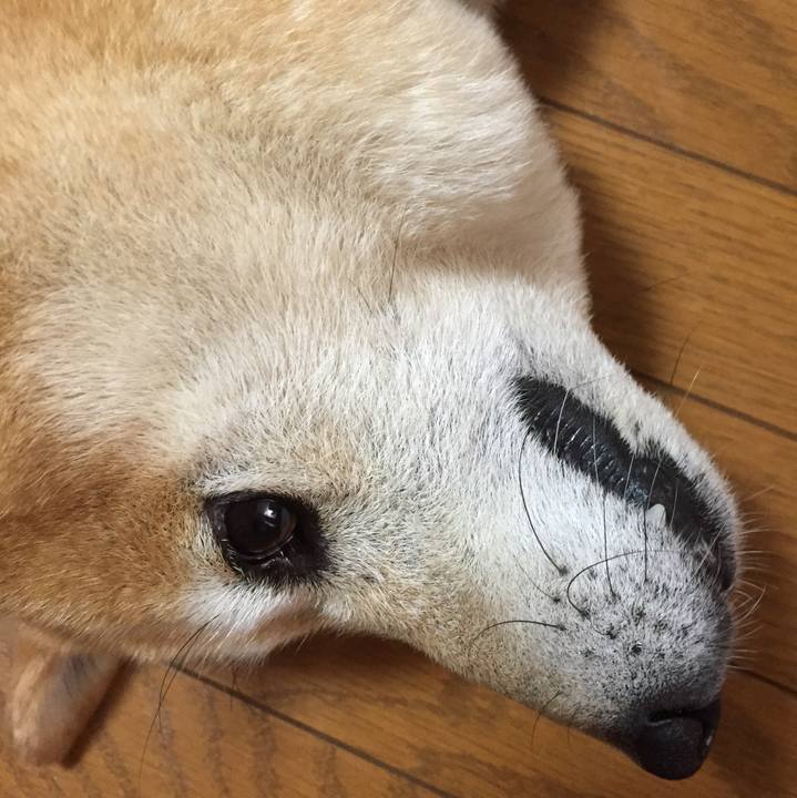 57ffa890 aa30 4a64 9afc 4b4decaafdd6