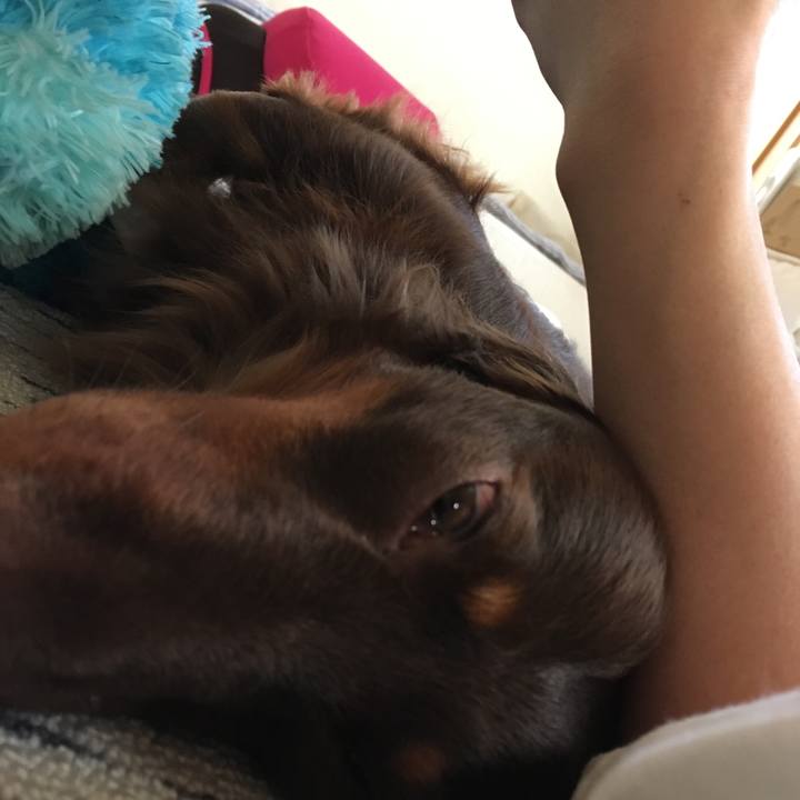 57ffbcb4 5431 4d25 b6b4 79afe5b9f401