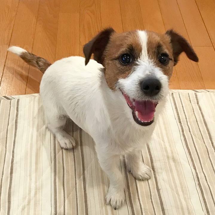 5800404f cee8 4575 907a f4164119e31f