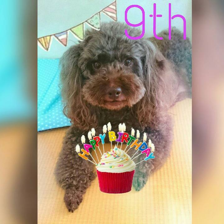 5800561b 2fa2 4bfc b152 e189fed8c6b6