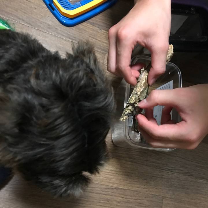 580076fe d766 47d1 9916 33b08ebe27d3