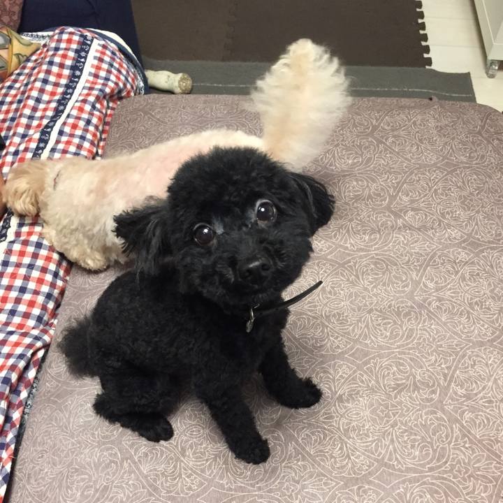 5800a6d9 0580 4eac a080 5c19c9cea3d2