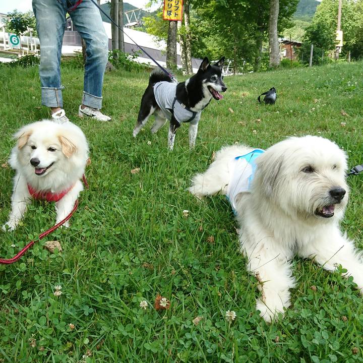 5800b3de d8ff 4a28 8d27 7cdb07e57a81