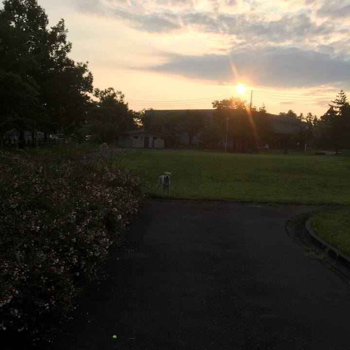 5800cea1 5e9f 4e89 8b18 d5d74e7a5318