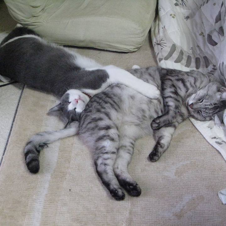 5801796f 5224 4373 8713 3e2c62ff3231