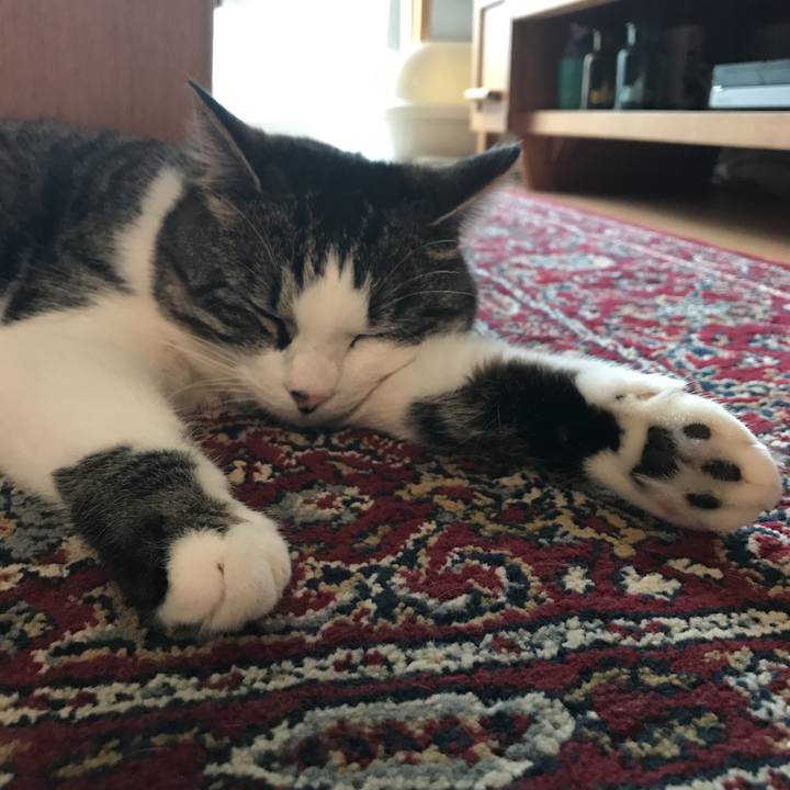 58019adb ce75 455d 84b5 7e78d07651cc