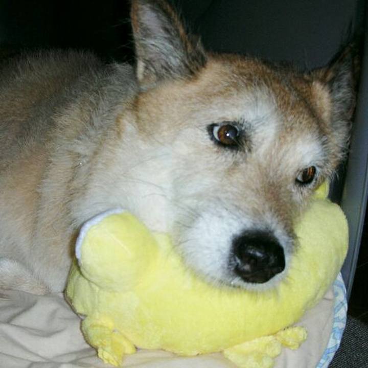 5801b0b7 367d 4536 8feb bd57fbf9b745