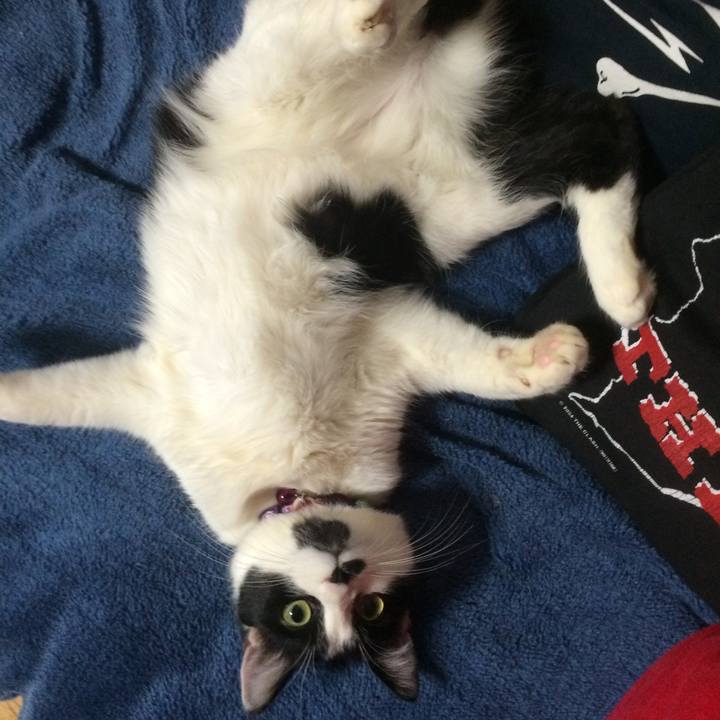 580205f4 7b3a 4f08 854e 9c9bb2d38f1e