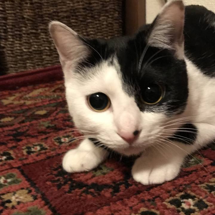 580292c4 9221 4128 a487 5f434904e3b3