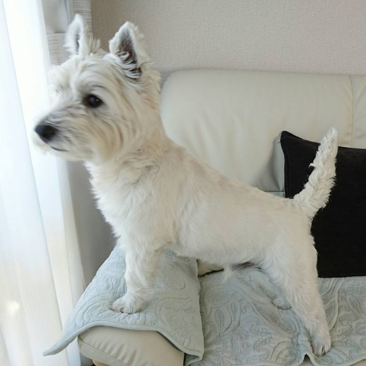 5802ba36 9259 4094 82d0 5f810b88f881