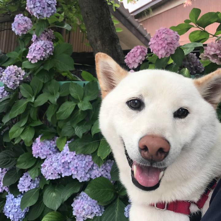 58031a3f 228c 4861 b9f4 f7fdbb9c42b8