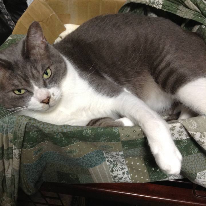 58038ea5 ee21 4cb3 8834 1f231a0f595c