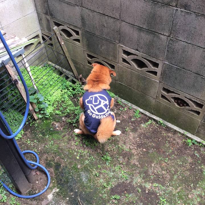 58040639 bcd0 4b01 85a4 29c5a0acffae