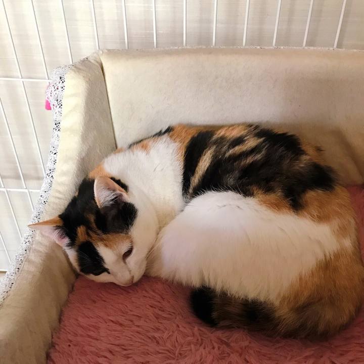 58040efe 2eee 4743 886e a0194975e4c5