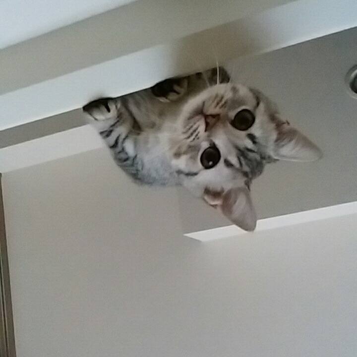 580445c0 9f22 49b1 a28c a7ee76dae6a5